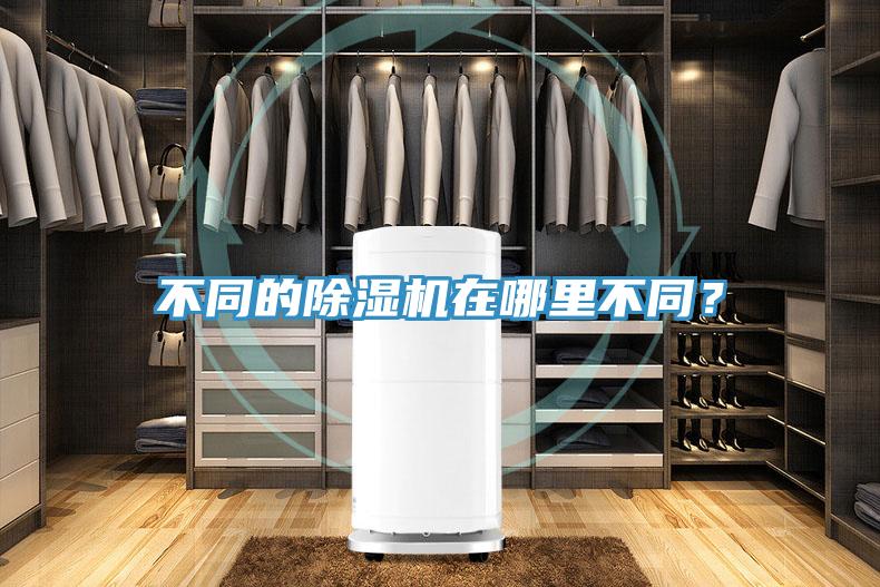 不同的除濕機在哪里不同？