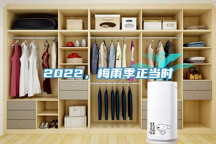 2022，梅雨季正當(dāng)時