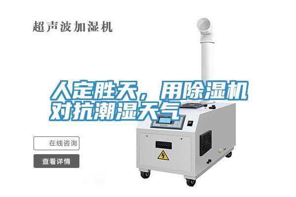 人定勝天，用除濕機(jī)對抗潮濕天氣