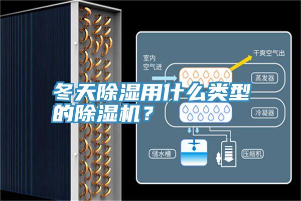 冬天除濕用什么類型的除濕機？
