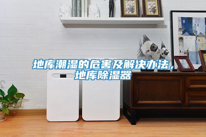 地庫潮濕的危害及解決辦法，地庫除濕器