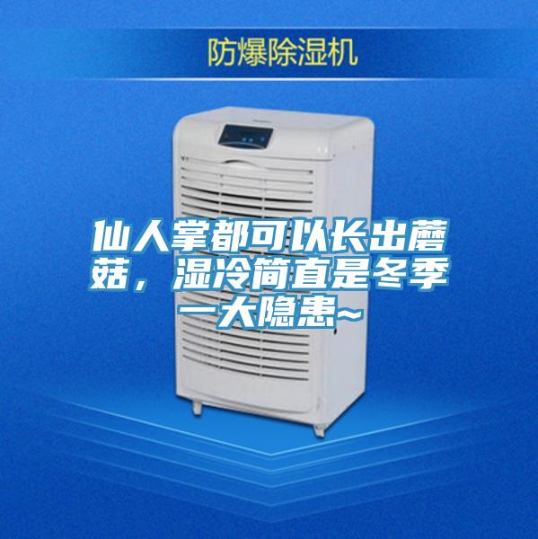 仙人掌都可以長(zhǎng)出蘑菇,濕冷簡(jiǎn)直是冬季一大隱患~