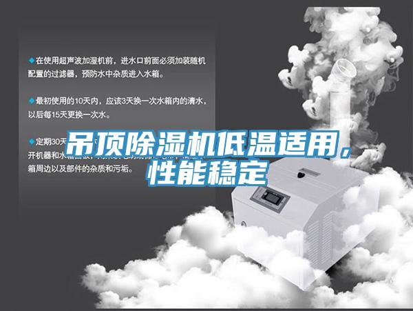 吊頂除濕機低溫適用,性能穩定