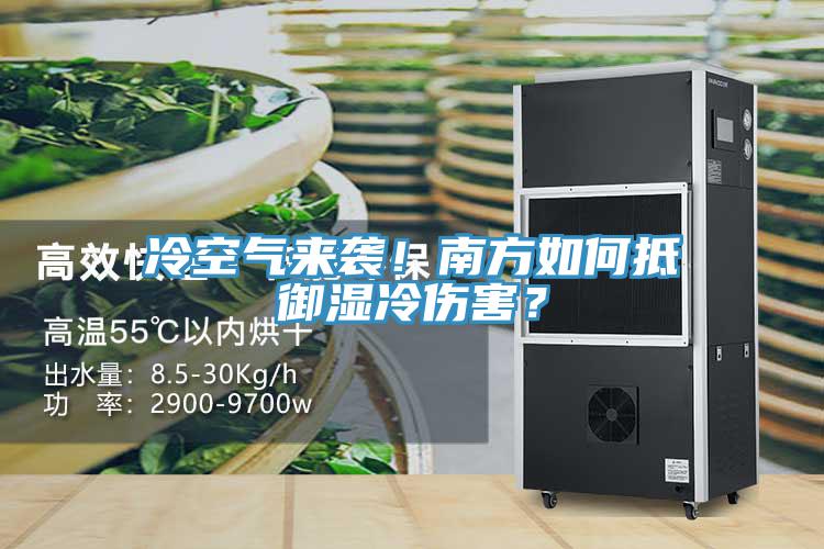 冷空氣來襲！南方如何抵御濕冷傷害？