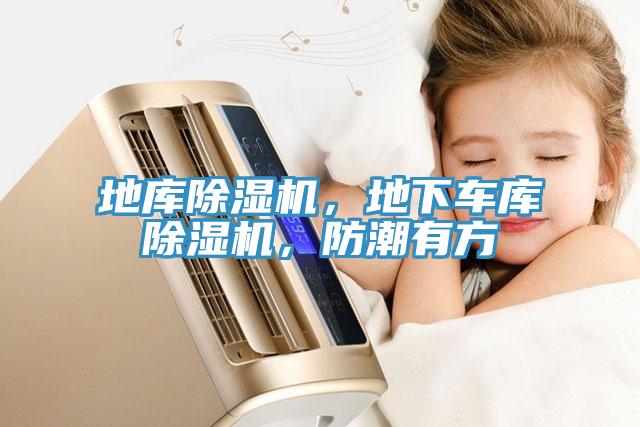 地庫除濕機，地下車庫除濕機，防潮有方