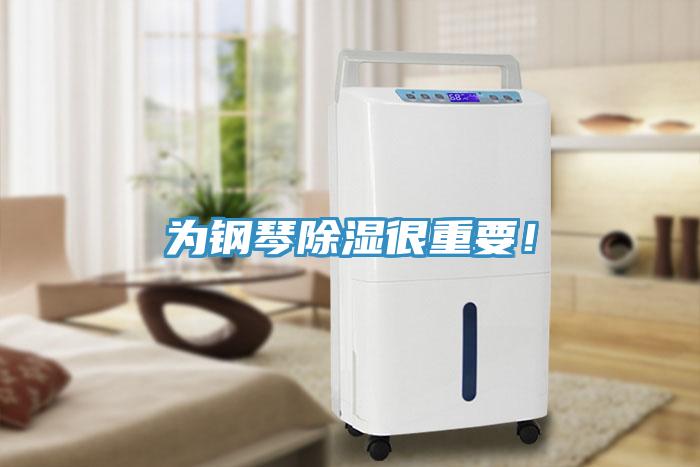 為鋼琴除濕很重要！