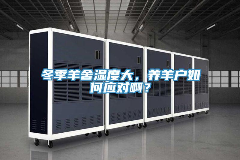 冬季羊舍濕度大，養羊戶如何應對?。?></div>
								<div   id=