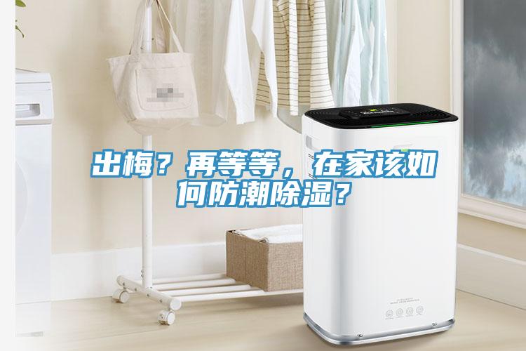 出梅？再等等，在家該如何防潮除濕？