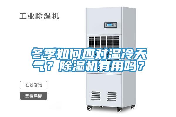 冬季如何應對濕冷天氣？除濕機有用嗎？