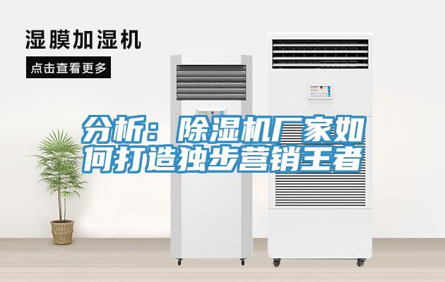 分析:除濕機(jī)廠家如何打造獨(dú)步營(yíng)銷(xiāo)王者