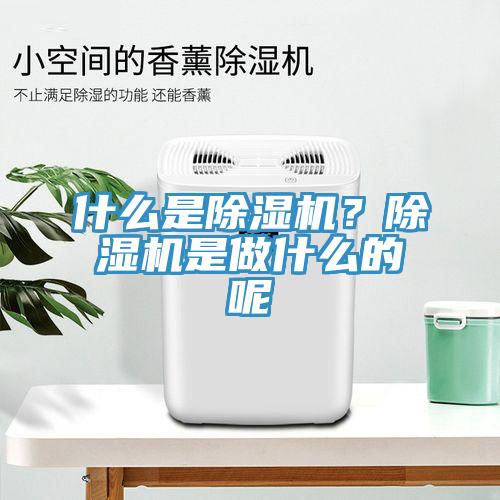 什么是除濕機(jī)?除濕機(jī)是做什么的呢