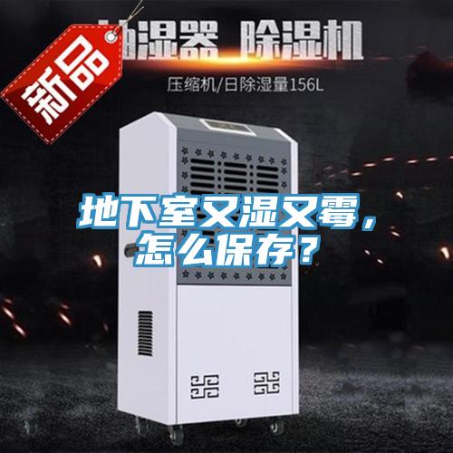 地下室又濕又霉，怎么保存？