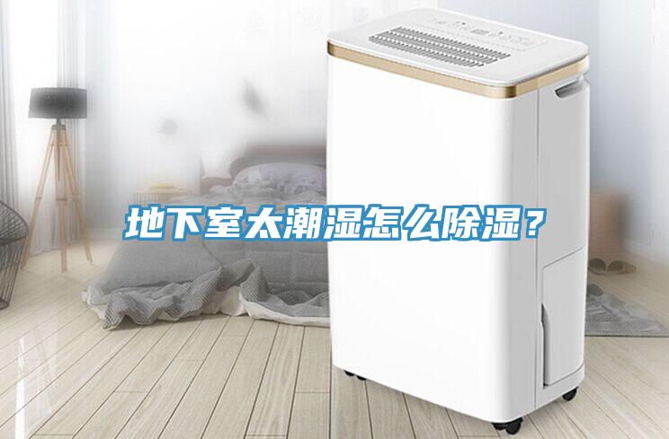 地下室太潮濕怎么除濕？