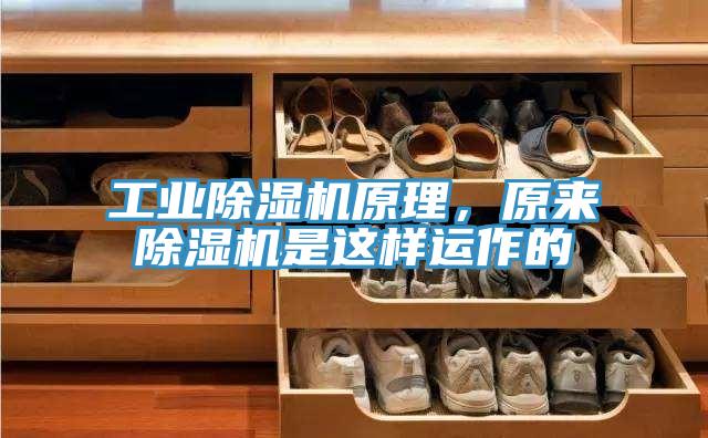 工業除濕機原理，原來除濕機是這樣運作的