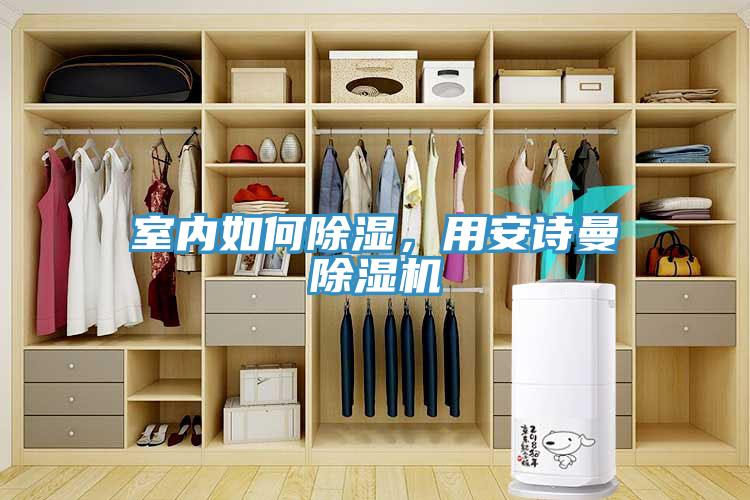 室內如何除濕，用安詩曼除濕機