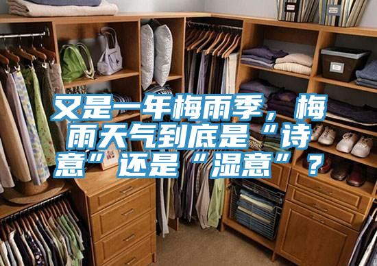 又是一年梅雨季，梅雨天氣到底是“詩意”還是“濕意”？