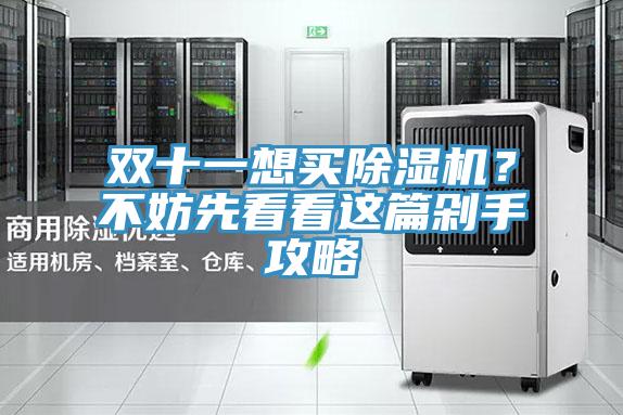 雙十一想買除濕機？不妨先看看這篇剁手攻略