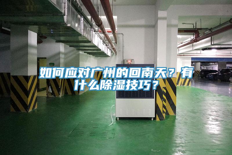 如何應對廣州的回南天？有什么除濕技巧？