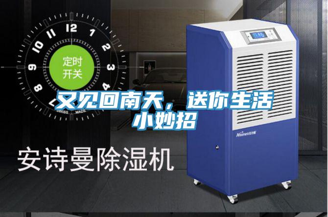 又見回南天，送你生活小妙招