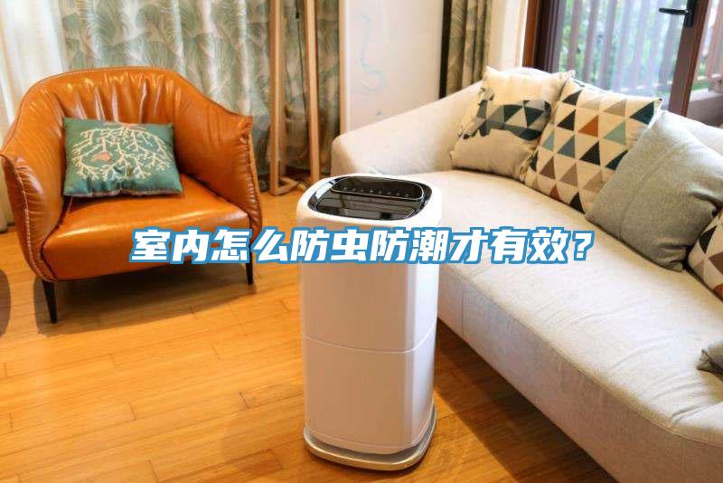 室內怎么防蟲防潮才有效？