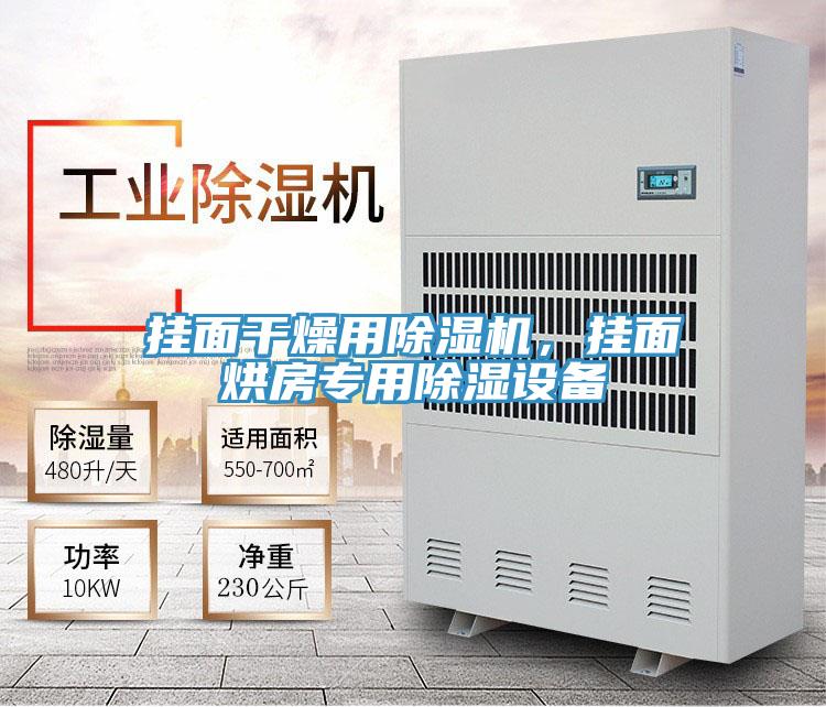 掛面干燥用除濕機，掛面烘房專用除濕設備