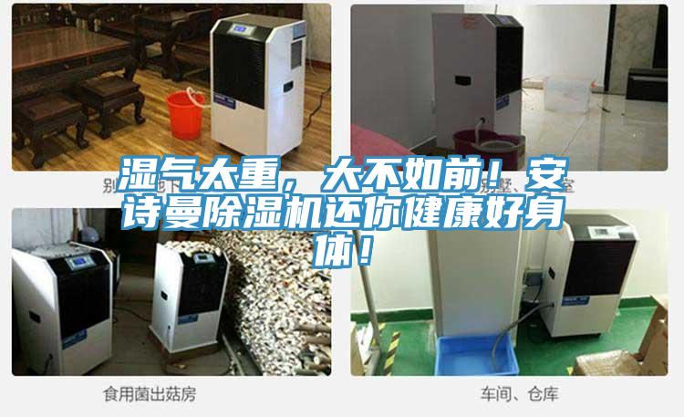 濕氣太重，大不如前！安詩曼除濕機還你健康好身體！