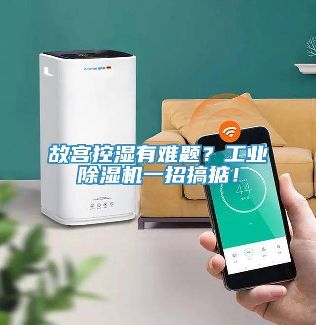 故宮控濕有難題？工業除濕機一招搞掂！