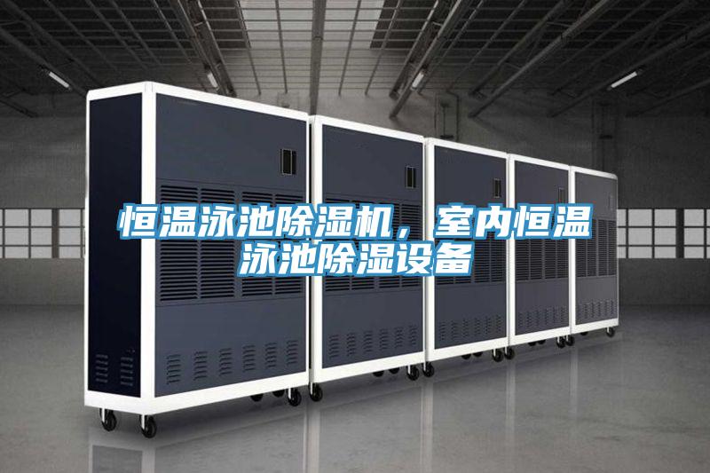 恒溫泳池除濕機，室內恒溫泳池除濕設備