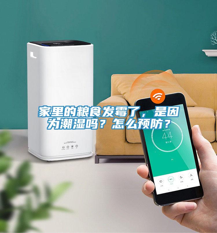 家里的糧食發霉了，是因為潮濕嗎？怎么預防？