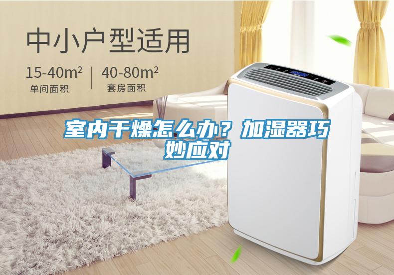 室內干燥怎么辦？加濕器巧妙應對