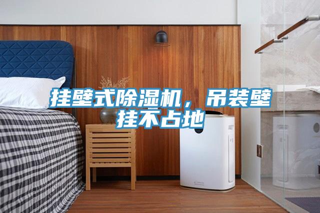 掛壁式除濕機，吊裝壁掛不占地