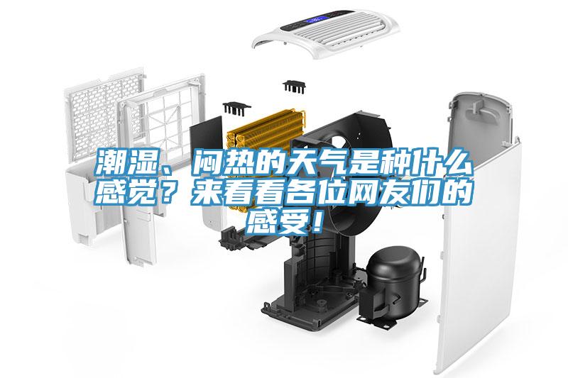 潮濕、悶熱的天氣是種什么感覺？來看看各位網友們的感受！