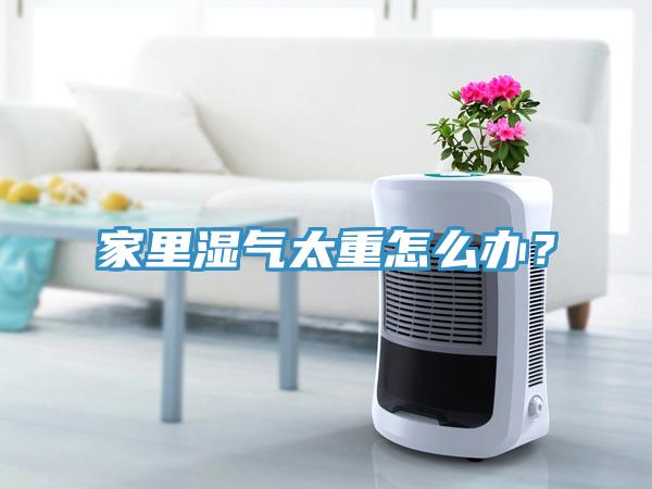 家里濕氣太重怎么辦？