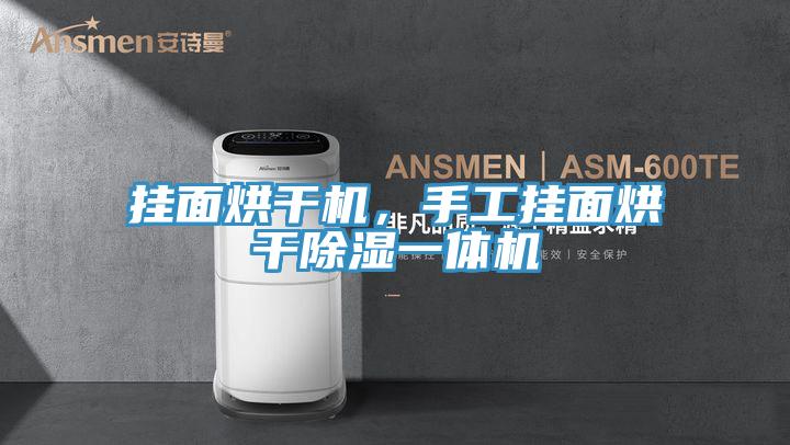 掛面烘干機，手工掛面烘干除濕一體機