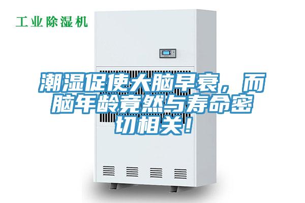 潮濕促使大腦早衰，而腦年齡竟然與壽命密切相關！