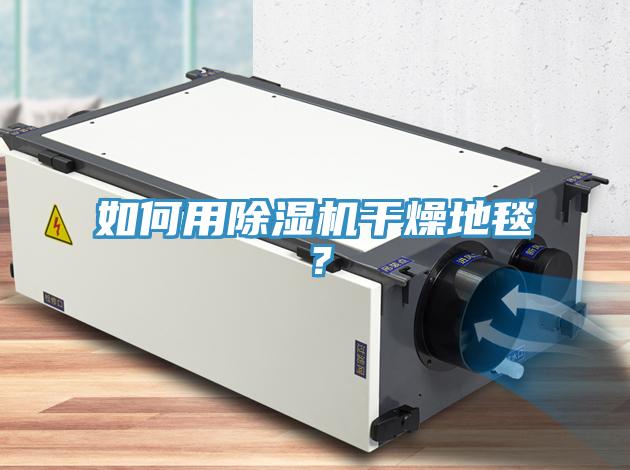 如何用除濕機干燥地毯？
