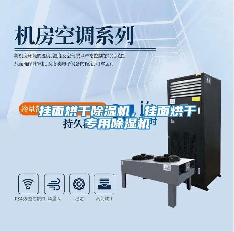 掛面烘干除濕機，掛面烘干專用除濕機