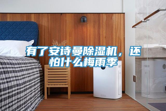 有了安詩曼除濕機(jī)，還怕什么梅雨季