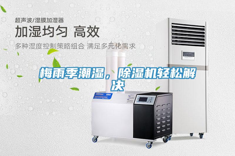 梅雨季潮濕,除濕機(jī)輕松解決