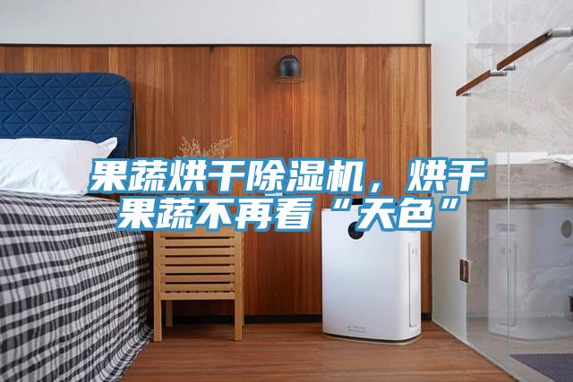 果蔬烘干除濕機,烘干果蔬不再看“天色”