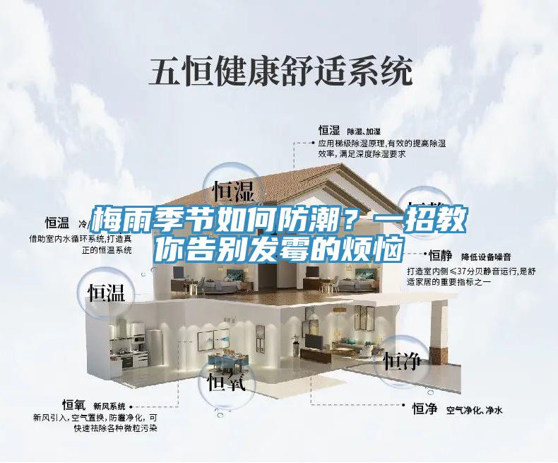 梅雨季節如何防潮？一招教你告別發霉的煩惱