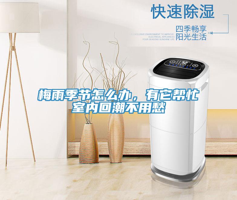 梅雨季節(jié)怎么辦，有它幫忙室內(nèi)回潮不用愁