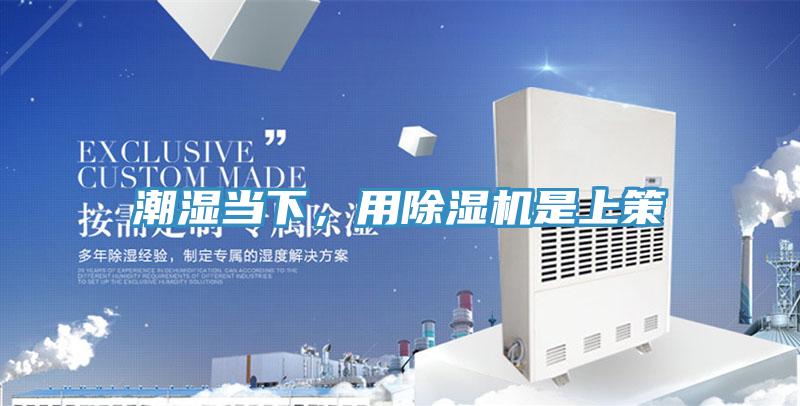 潮濕當下，用除濕機是上策