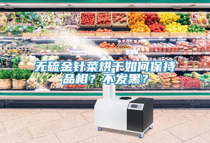 無硫金針菜烘干如何保持品相？不發(fā)黑？