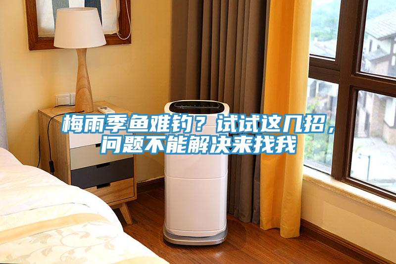 梅雨季魚(yú)難釣？試試這幾招，問(wèn)題不能解決來(lái)找我