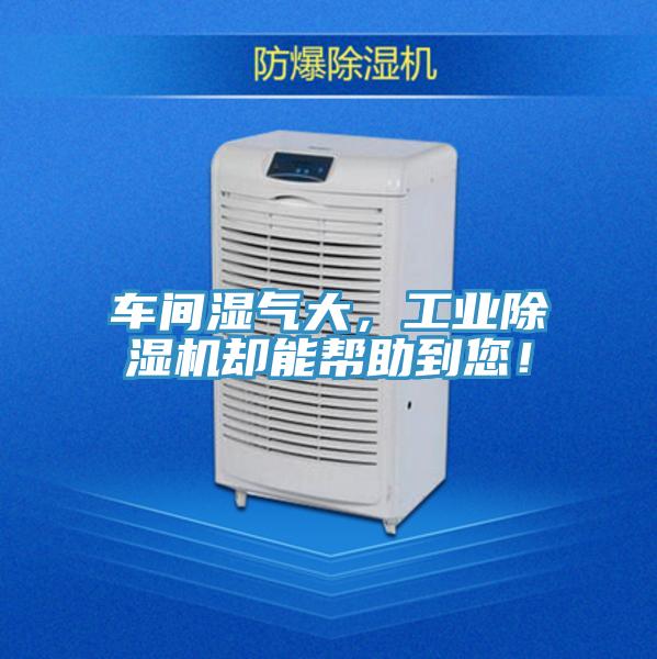 車間濕氣大，工業(yè)除濕機卻能幫助到您！