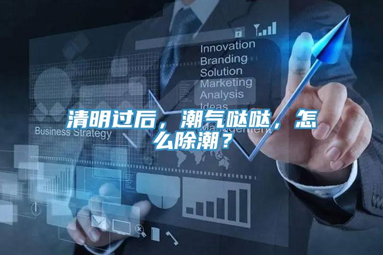 清明過后，潮氣噠噠，怎么除潮？