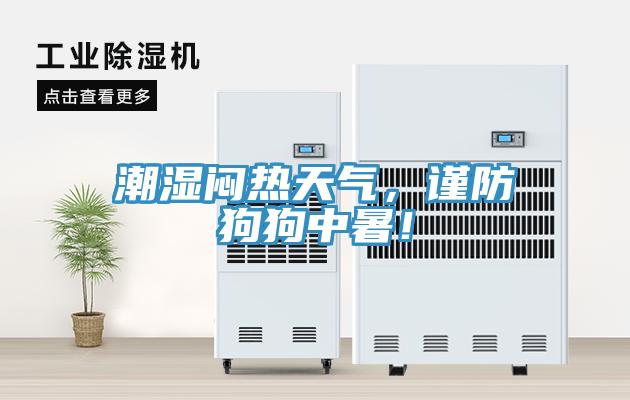 潮濕悶熱天氣，謹(jǐn)防狗狗中暑！