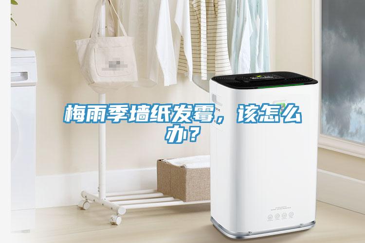 梅雨季墻紙發(fā)霉，該怎么辦？