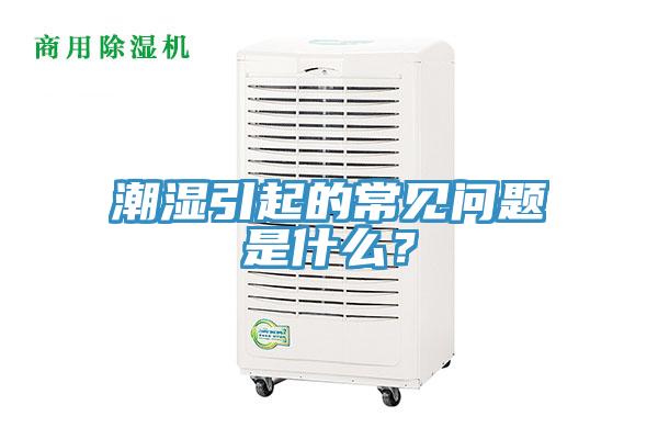 潮濕引起的常見問題是什么？